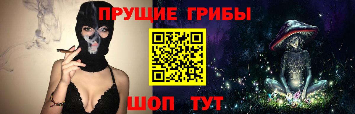 Галлюциногенные грибы прущие грибы Бийск